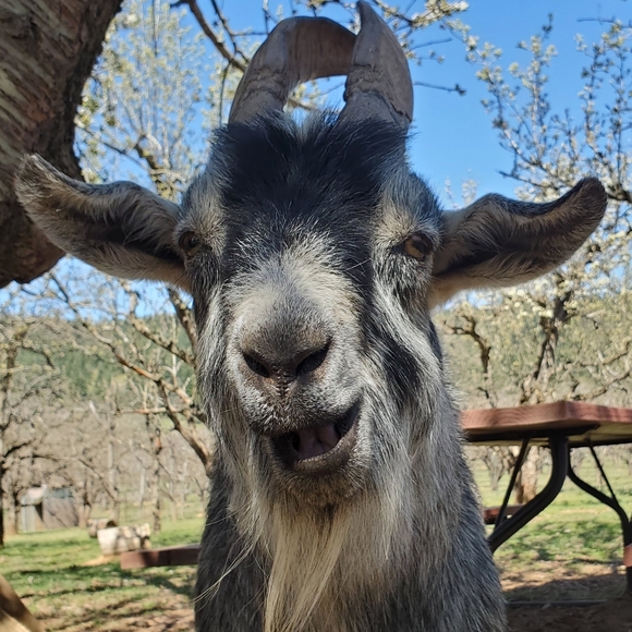 Polka Dot Tank Dress, Carolina Blue & White Satin, Ribbon Sash, Sleeveless, 7 - Picture 7 of 7